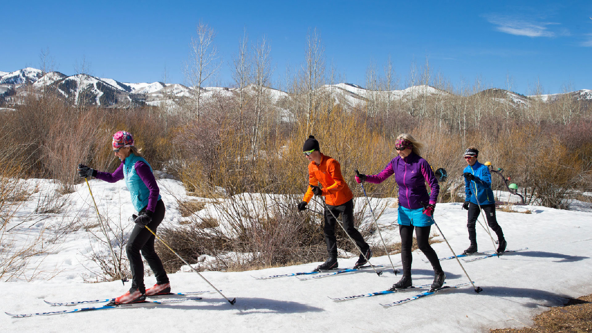 Nordic skiing with White Pine Touring